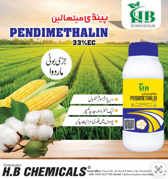 PENDIMETHALIN 33% EC product poster