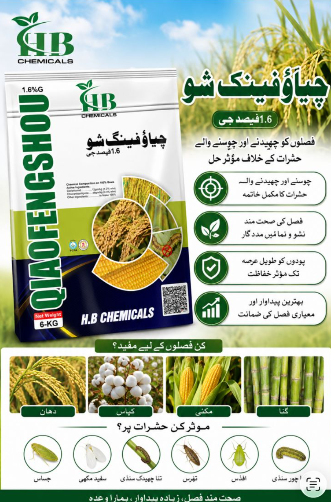 QIAOFENGSHOU 1.6% G product poster