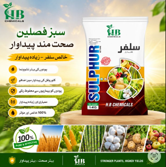 SULPHUR 80% WG product poster